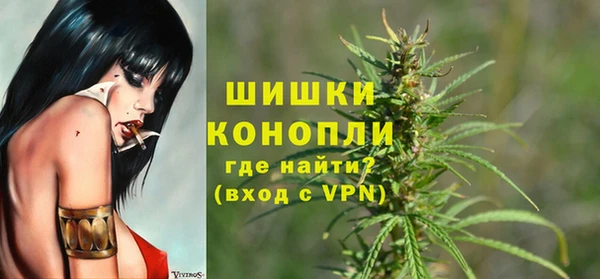 таблы Бородино