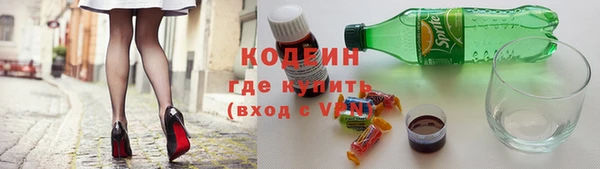 таблы Бородино
