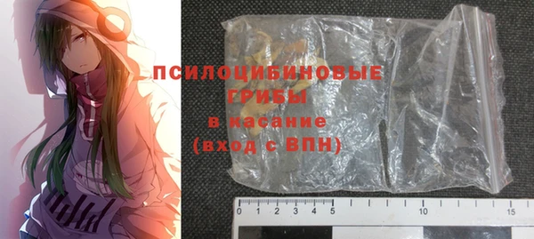 таблы Бородино