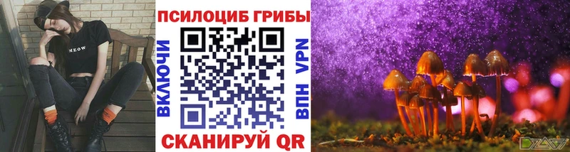 закладки  Ильский  площадка формула  Псилоцибиновые грибы Psilocybine cubensis 